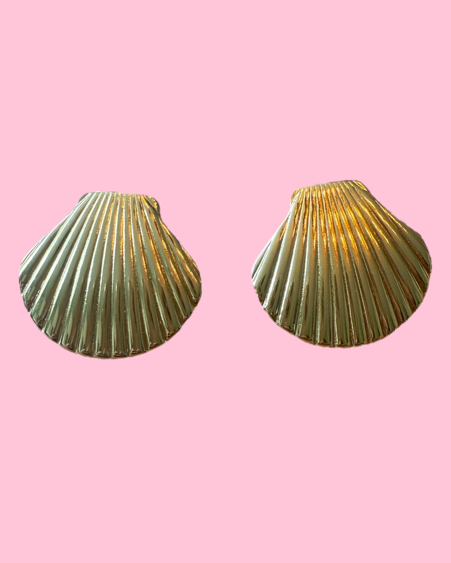 Oorbel schelp